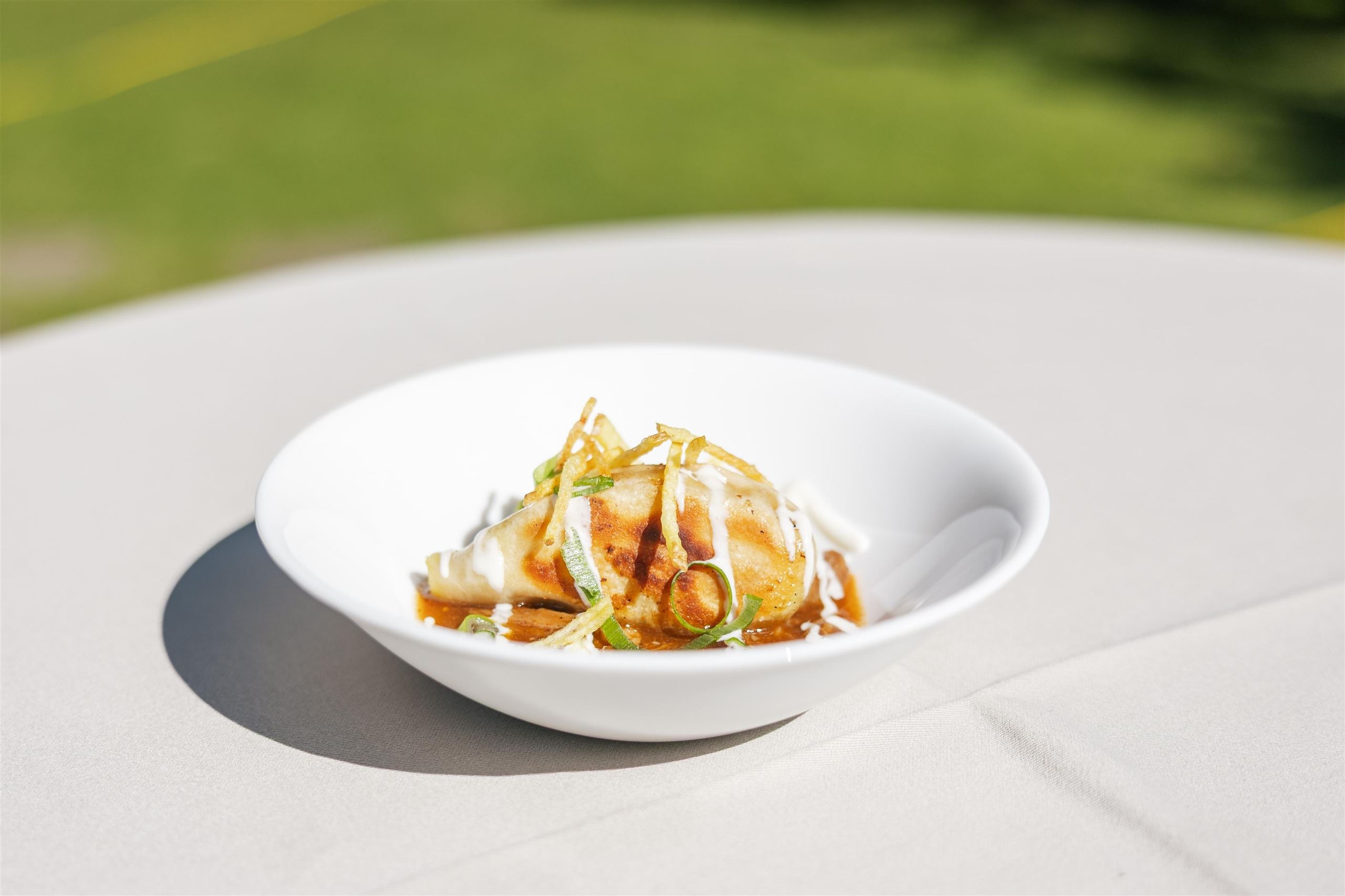 Eine Schüssel mit köstlichen Dumplings, garniert mit Frühlingszwiebeln und einer schmackhaften Soße. Im Hintergrund ist eine grüne Wiese sichtbar.
