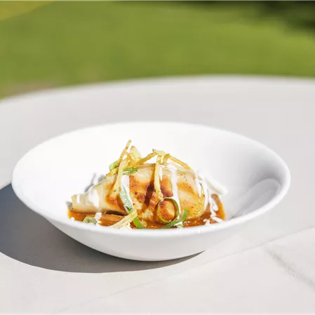 Eine Schüssel mit köstlichen Dumplings, garniert mit Frühlingszwiebeln und einer schmackhaften Soße. Im Hintergrund ist eine grüne Wiese sichtbar.