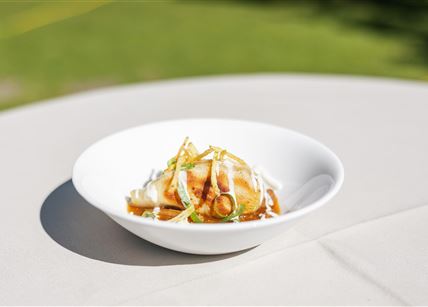 Eine Schüssel mit köstlichen Dumplings, garniert mit Frühlingszwiebeln und einer schmackhaften Soße. Im Hintergrund ist eine grüne Wiese sichtbar.