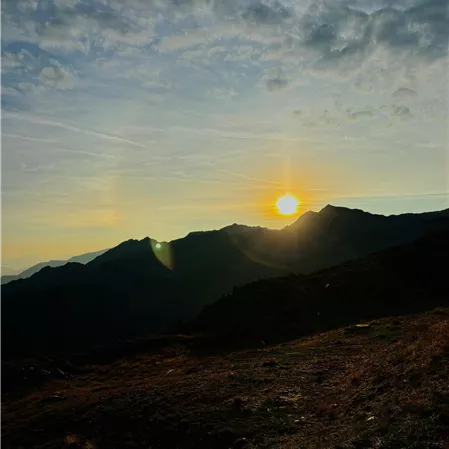 Sechszeiger Sonnenaufgang