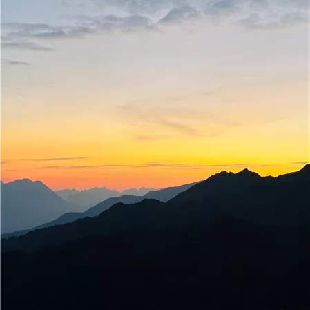 Sechszeiger Sonnenaufgang